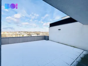 Pronájem kanceláře, Ostrava, F. X. Riepla, 171 m2