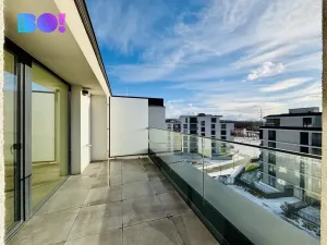 Pronájem bytu 4+kk, Ostrava, F. X. Riepla, 115 m2