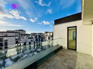 Pronájem bytu 5+kk, Ostrava, F. X. Riepla, 252 m2