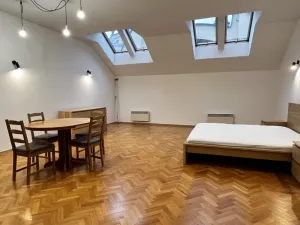 Pronájem bytu 1+kk, Praha - Staré Město, Národní, 50 m2