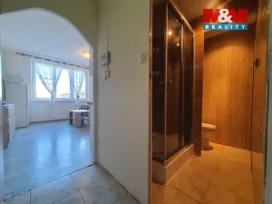 Pronájem bytu 1+kk, Sokolov, Marie Majerové, 20 m2