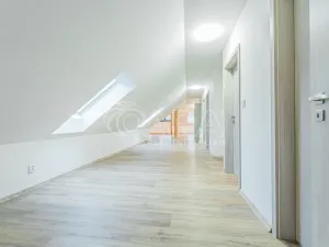 Pronájem bytu 4+kk, Srbsko, Nad Kapličkou, 180 m2