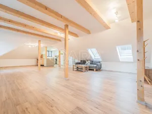 Pronájem bytu 4+kk, Srbsko, Nad Kapličkou, 180 m2