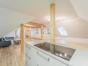 Pronájem bytu 4+kk, Srbsko, Nad Kapličkou, 180 m2