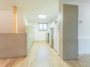 Pronájem bytu 4+kk, Srbsko, Nad Kapličkou, 180 m2