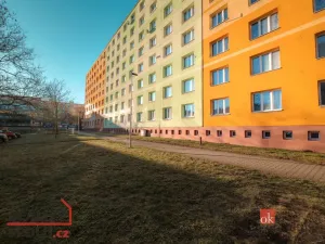 Pronájem bytu 1+1, Plzeň, Macháčkova, 36 m2