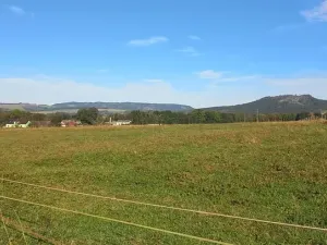 Prodej louky, Police nad Metují, 9001 m2