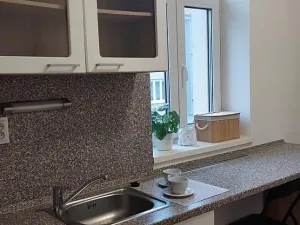 Pronájem bytu 1+1, Brno - Černovice, Kotkova, 35 m2