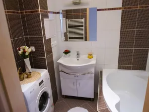 Pronájem bytu 2+1, České Budějovice, Vidovská, 62 m2