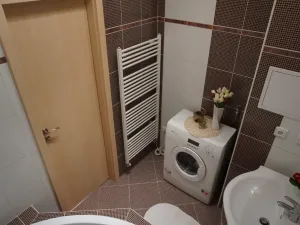 Pronájem bytu 2+1, České Budějovice, Vidovská, 62 m2