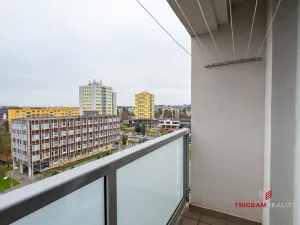 Pronájem bytu 2+1, Hradec Králové - Třebeš, Milady Horákové, 52 m2