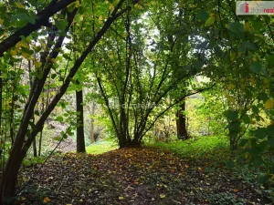 Prodej pozemku pro bydlení, Benešov, 1535 m2