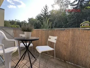 Pronájem bytu 1+kk, Brno, Rakovecká, 22 m2