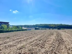 Prodej pozemku pro bydlení, Hrušovany u Brna, Pod Střediskem, 988 m2