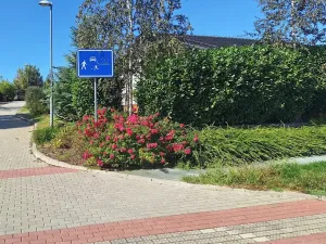 Prodej pozemku pro bydlení, Hrušovany u Brna, Pod Střediskem, 608 m2