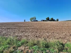 Prodej pozemku pro bydlení, Hrušovany u Brna, Pod Střediskem, 896 m2