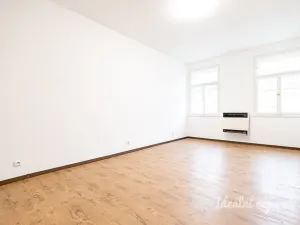 Pronájem bytu 2+kk, Praha - Vinohrady, Nitranská, 53 m2