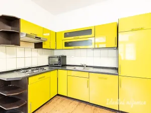 Pronájem bytu 2+kk, Praha - Vinohrady, Nitranská, 53 m2
