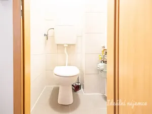 Pronájem bytu 2+kk, Praha - Vinohrady, Nitranská, 53 m2