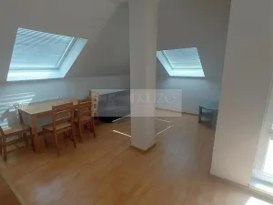 Pronájem bytu 4+kk, Praha, U zeleného ptáka, 113 m2