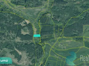 Prodej louky, Velká Turná, 2199 m2