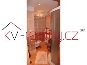 Pronájem bytu 1+1, Karlovy Vary, Sibiřská, 46 m2