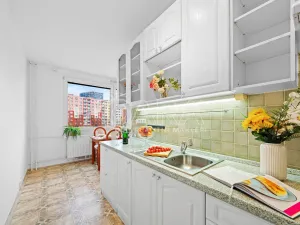 Pronájem bytu 2+1, Ústí nad Labem - Severní Terasa, Kmochova, 60 m2