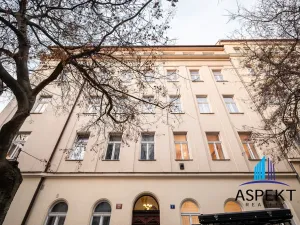 Pronájem bytu 2+1, Praha - Vinohrady, Lužická, 66 m2