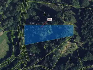 Dražba lesa, Vranová Lhota, 3122 m2