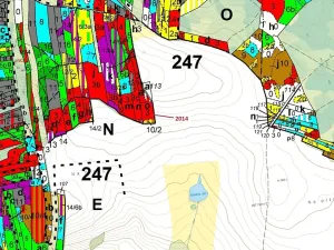 Dražba lesa, Žirovnice, 2931 m2