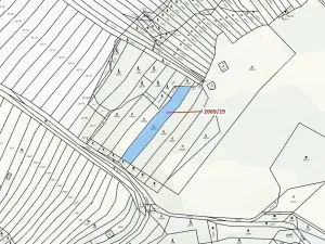 Dražba lesa, Ivančice, 1130 m2