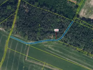 Dražba pozemku, Olešnice, 1135 m2