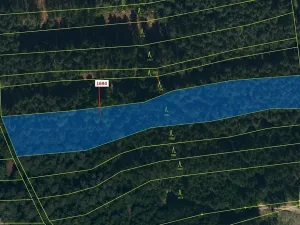 Dražba lesa, Žirovnice, 5755 m2