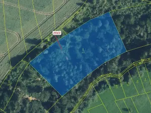 Dražba lesa, Nové Hrady, 7263 m2