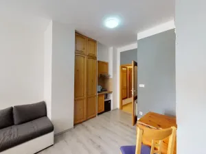 Pronájem bytu 1+kk, Praha - Vršovice, Donská, 30 m2