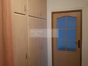 Pronájem bytu 1+1, Olomouc, Jungmannova, 42 m2