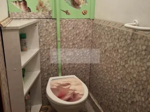 Pronájem bytu 1+1, Olomouc, Jungmannova, 42 m2