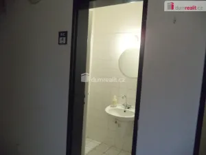 Pronájem komerční nemovitosti, Havířov, Mánesova, 80 m2