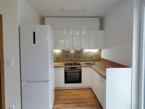 Prodej bytu 2+kk, Praha - Vysočany, Pod Harfou, 60 m2