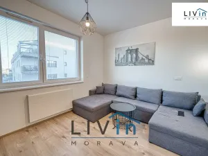 Pronájem bytu 2+kk, Olomouc, Wolkerova, 58 m2