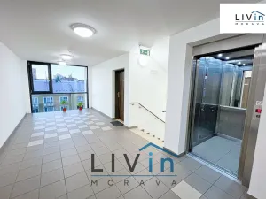 Pronájem bytu 2+kk, Olomouc, Wolkerova, 58 m2