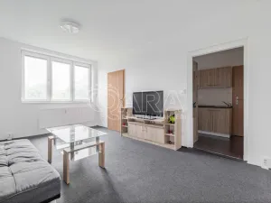 Pronájem bytu 1+1, Ostrava - Přívoz, Arbesova, 39 m2