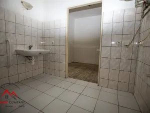 Pronájem bytu 1+kk, Třemešná, 40 m2