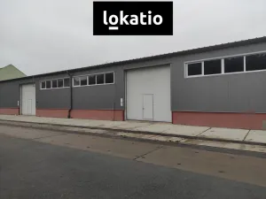 Pronájem skladu, Kralupy nad Vltavou, Trojanova, 550 m2
