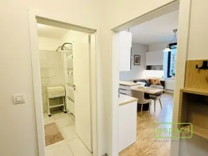 Pronájem bytu 1+kk, Dobřichovice, Anežky České, 34 m2