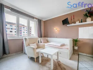 Prodej bytu 1+kk, Plzeň, náměstí Generála Píky, 23 m2