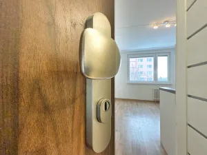 Pronájem bytu 1+1, Chomutov, Kostnická, 36 m2