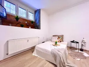 Prodej bytu 1+1, Praha - Žižkov, Biskupcova, 29 m2