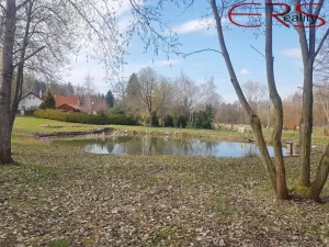 Prodej pozemku pro bydlení, Běleč, 945 m2