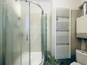 Pronájem bytu 2+kk, Olomouc, Starodružiníků, 46 m2